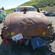 Image for article titled HooptieCon Is Finally Proof You Can Have A ComicCon For Cars
